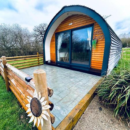 Beech Pod Cabin In Beautiful Surroundings Wrexham Zewnętrze zdjęcie