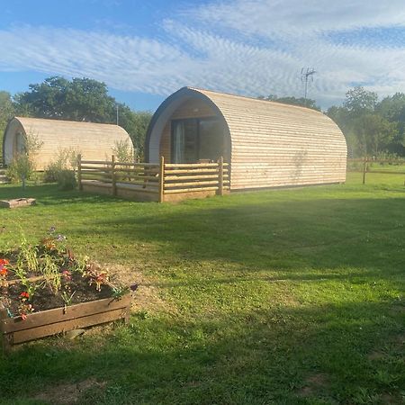 Beech Pod Cabin In Beautiful Surroundings Wrexham Zewnętrze zdjęcie