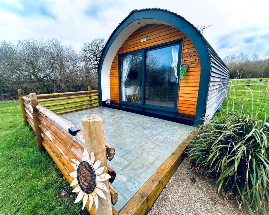 Beech Pod Cabin In Beautiful Surroundings Wrexham Zewnętrze zdjęcie