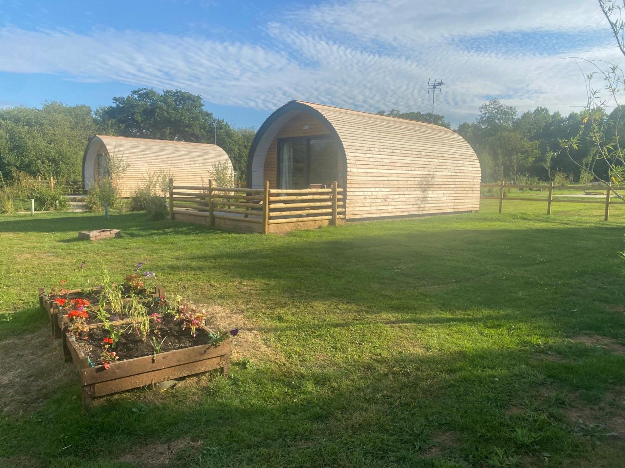 Beech Pod Cabin In Beautiful Surroundings Wrexham Zewnętrze zdjęcie